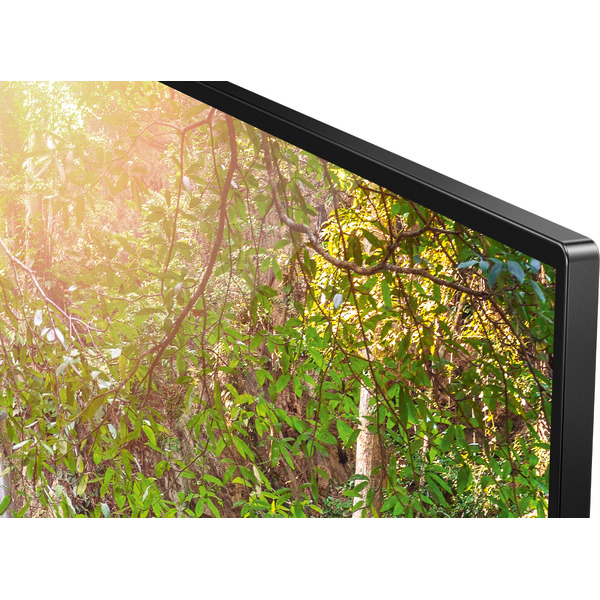 Телевизор LED TCL 55EP680