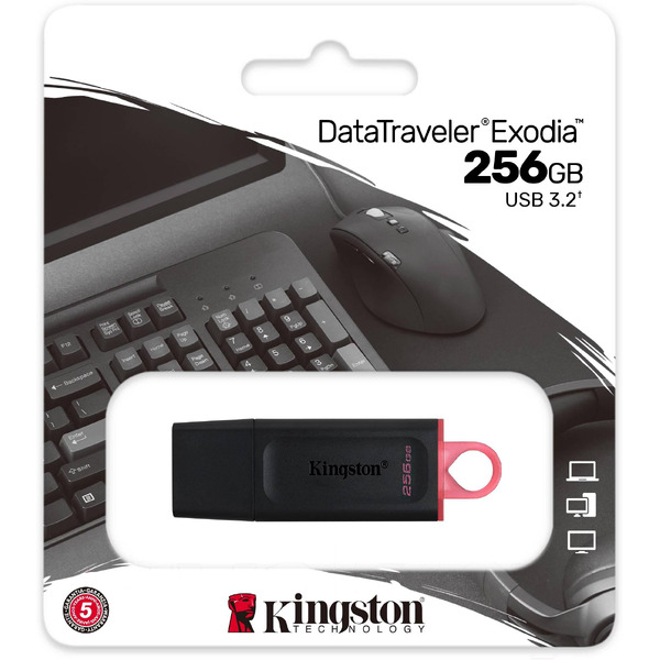 USB-флеш Kingston DataTraveler Exodia 256GB (DTX/256GB)