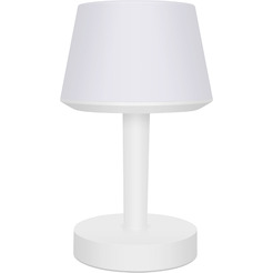 Беспроводная колонка Evolution LV2019