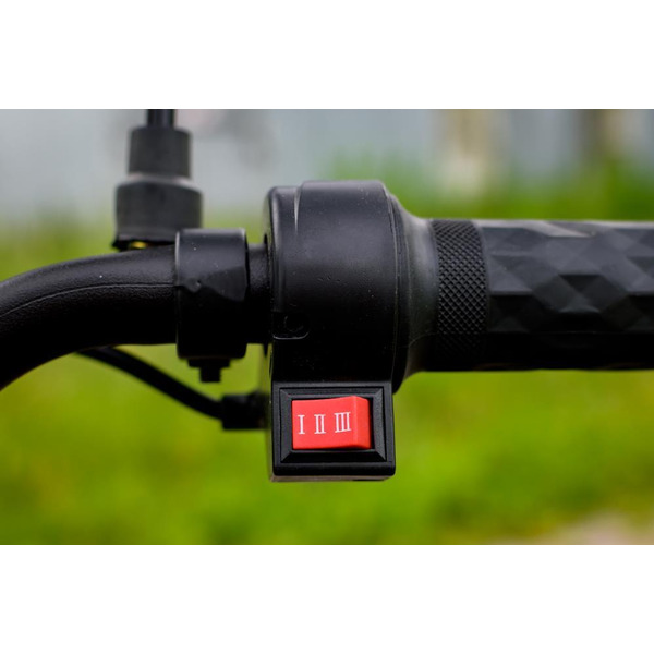 Электроскутер AVM Delta (черный)