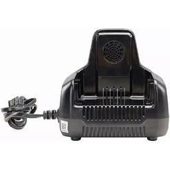 Зарядное устройство Greenworks G60DC10 2954407 (60В)