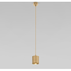 Потолочный светильник Elektrostandard 50243 LED 12W 4200K (золото)
