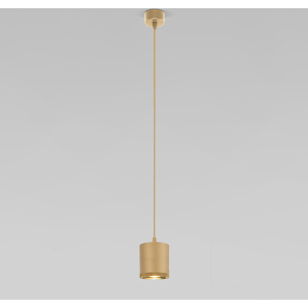 Потолочный светильник Elektrostandard 50243 LED 12W 4200K (золото)