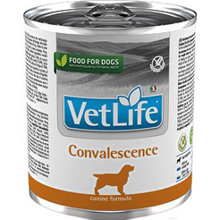 Влажный корм для собак Farmina Vet Life Natural Diet Dog Convalescence 300г
