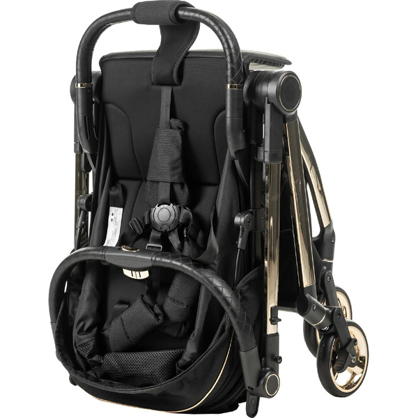 Детская прогулочная коляска Labalu Dream D9 (черный)