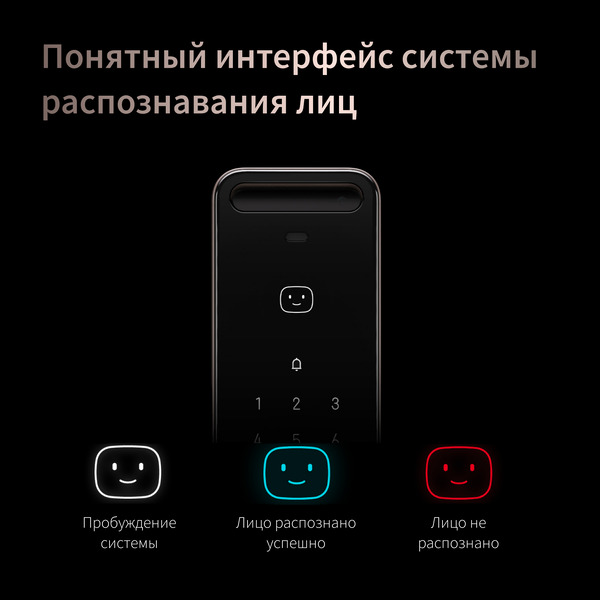 Умный замок Aqara D200i (ML-D01D) черный