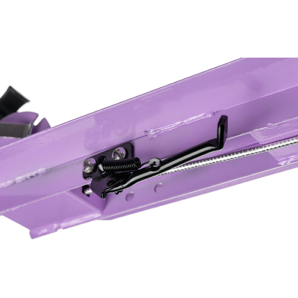 Самокат городской Ricos Shine JSCM6698 (фиолетовый)