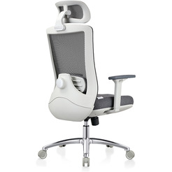 Кресло компьютерное EVOLUTION ERGO PRIME Grey