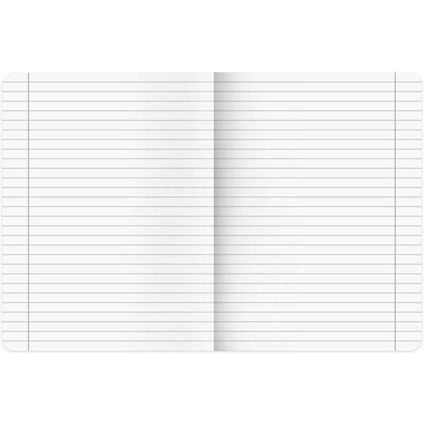 Тетради предметные BRAUBERG 405181 (КОМПЛЕКТ 12 ПРЕДМЕТОВ, 48л, SoftTouch)