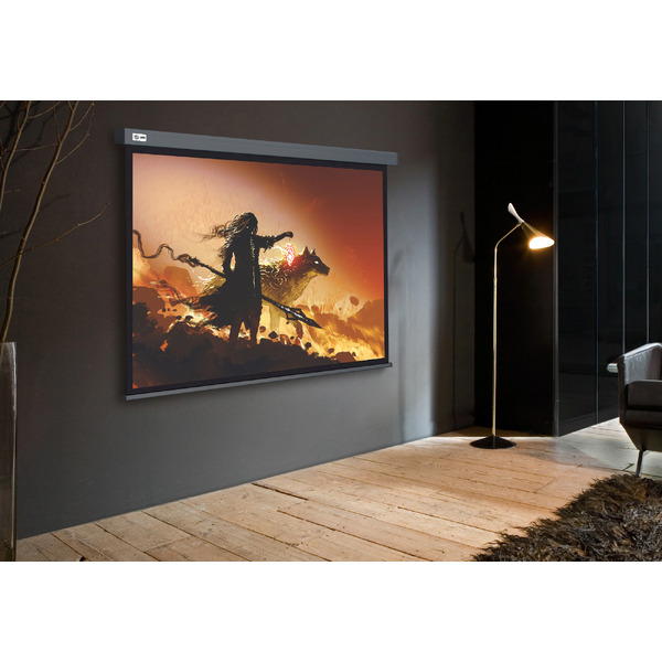 Экран Cactus CS-PSW-213X213-SG