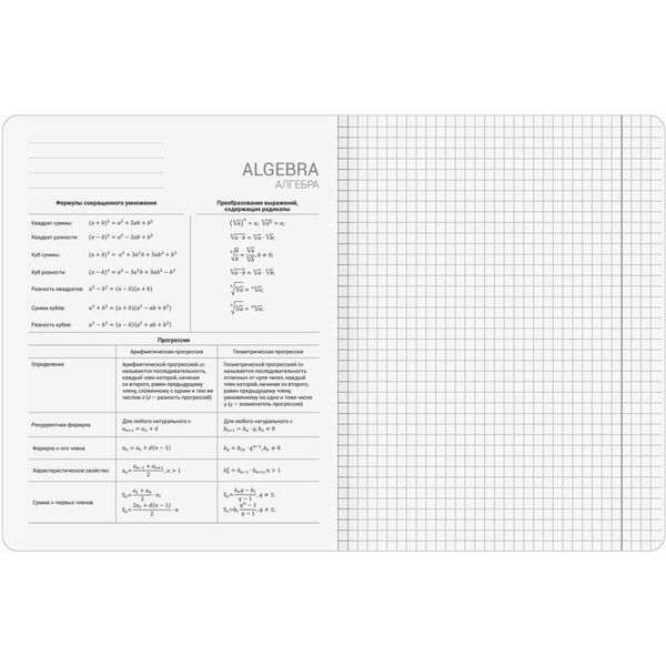 Тетради предметные BRAUBERG 405181 (КОМПЛЕКТ 12 ПРЕДМЕТОВ, 48л, SoftTouch)