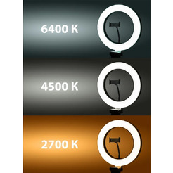 Лампа кольцевая TDM SQ0373-0302