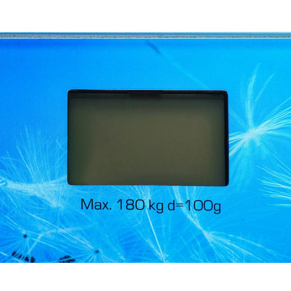 Напольные весы CENTEK CT-2421 Spring Flower