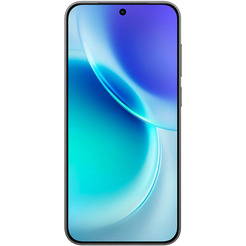 Смартфон vivo X300 V2515 12GB/256GB (черный)