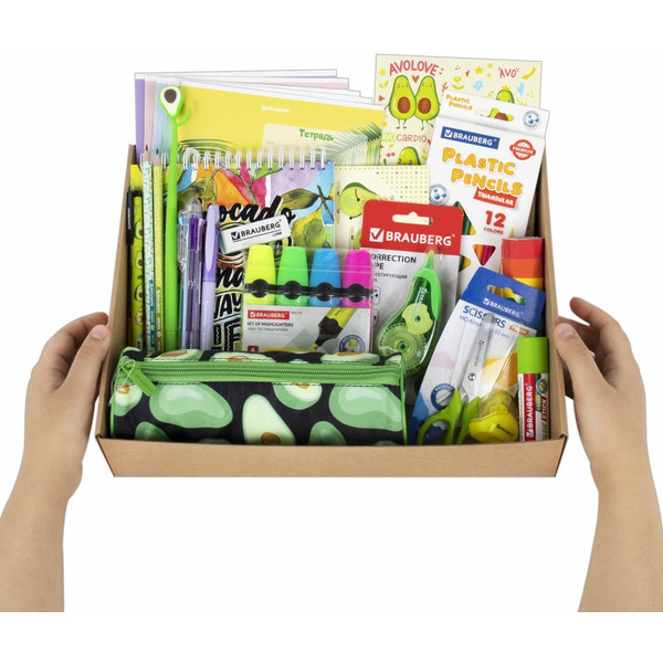 Набор канцелярии подарочный BRAUBERG AVOCADO 880951 (43 предмета)