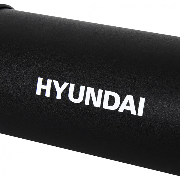 Беспроводная колонка Hyundai H-PAC220