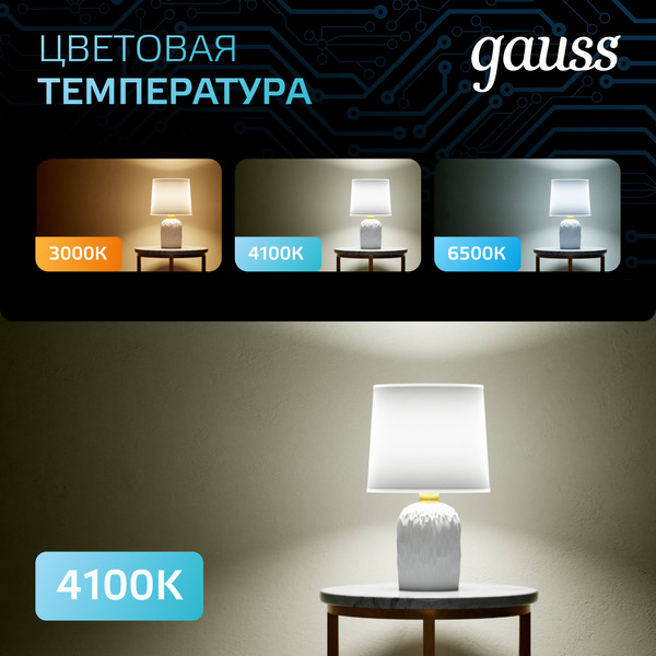 Лампа светодиодная Gauss 106001204