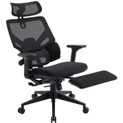 Кресло компьютерное EVOLUTION LumbarPro FR