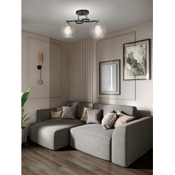 Потолочный светильник Aitin-Pro НПБ 02-2x60-101 / 6089/2 (черный/хром)