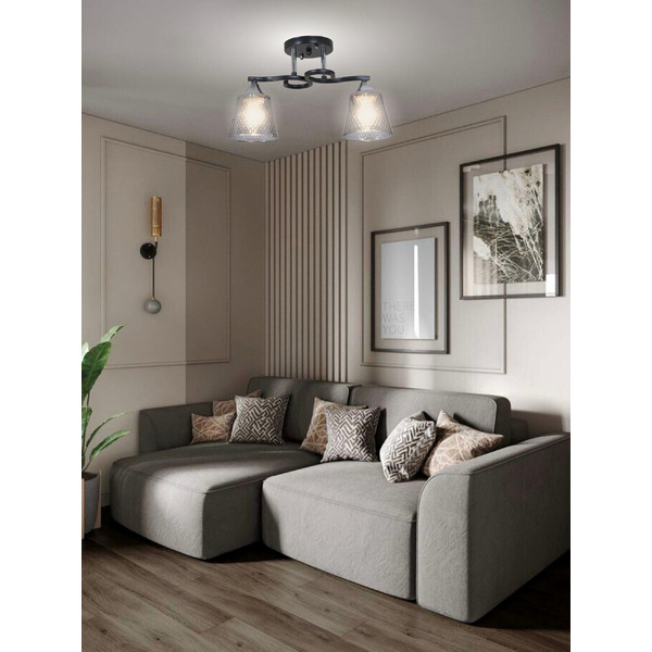 Потолочный светильник Aitin-Pro НПБ 02-2x60-101 / 6089/2 (черный/хром)