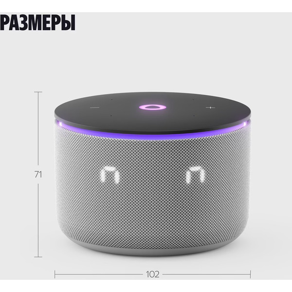 Умная колонка Яндекс.Станция Мини 3 Про (YNDX-00059GRY) серый