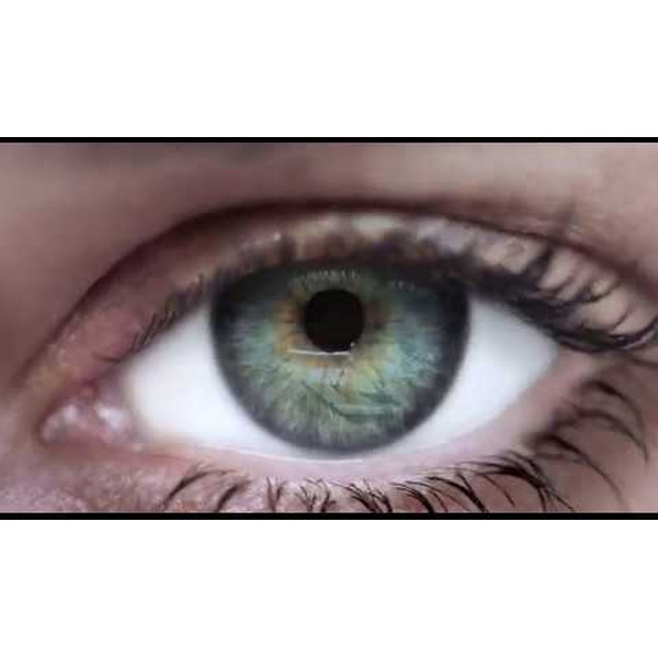 Пылесос Miele Triflex HX1 SMUL0 (серый)