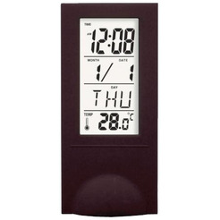 Термометр DIGION PTS2098BL