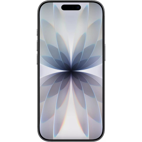 Смартфон Apple iPhone 17 256GB Black (MG774CH/A)