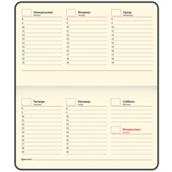 Еженедельник недатированный BRAUBERG Iguana 114482