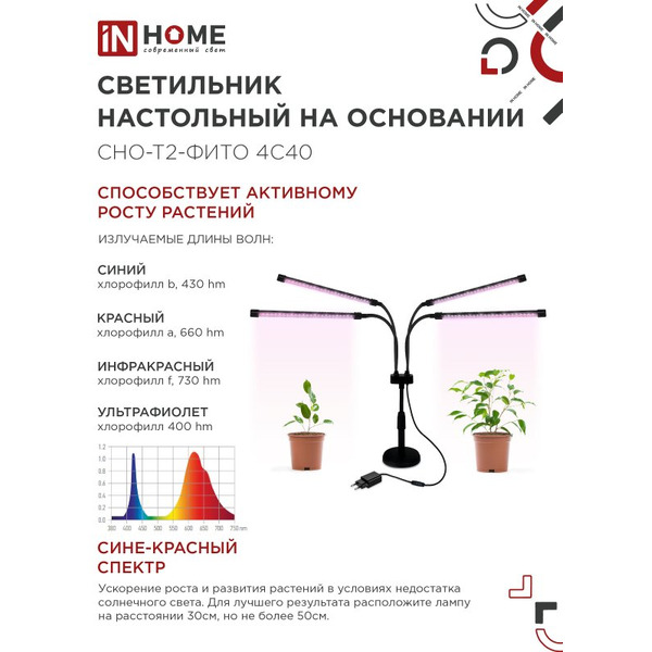 Светильник настольный на основании светодиодный IN HOME СНО-Т2-ФИТО 4С40 красно-синий (4690612053561)