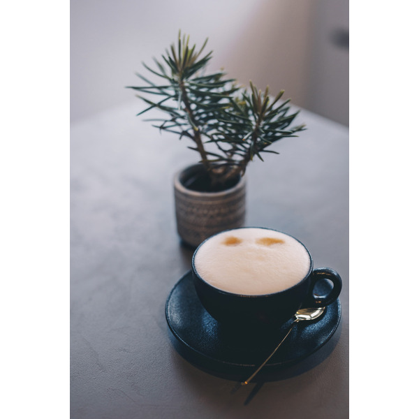 Кофемашина Nivona CafeRomatica NICR 555