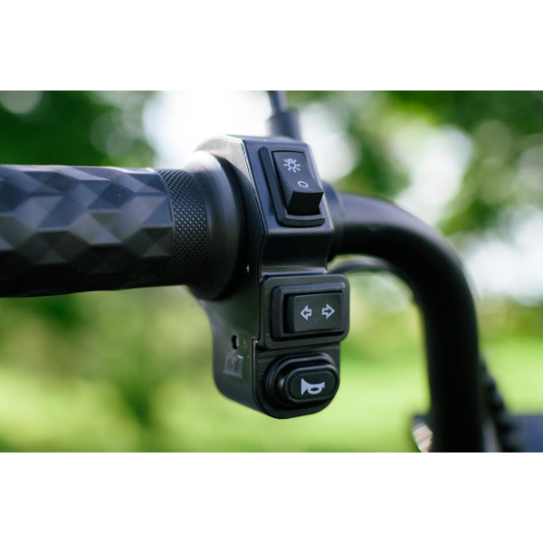 Электровелосипед AVM Delta Lite (красный)