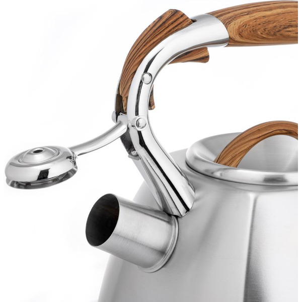 Чайник LARA LR00-66