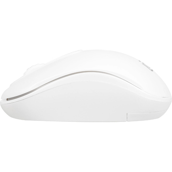 Мышь Oklick 505MW (белый)