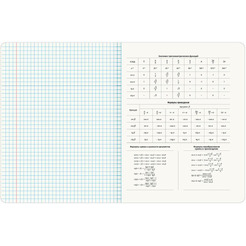 Тетради предметные BRAUBERG 405170 (КОМПЛЕКТ 12 ПРЕДМЕТОВ, 48л, глянцевый УФ-лак)