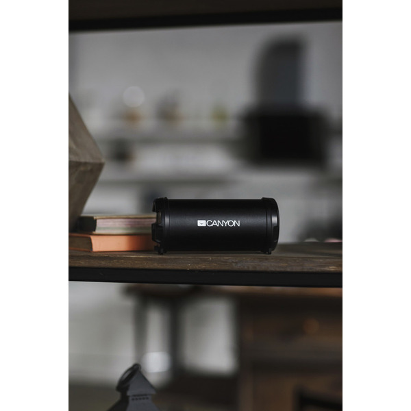 Портативная колонка Canyon CNE-CBTSP5