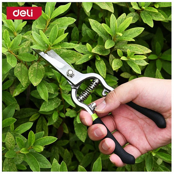Ножницы садовые Deli EDL580421