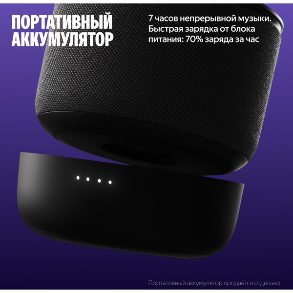 Умная колонка Яндекс.Станция Мини 3 Про (YNDX-00059BLK) черный