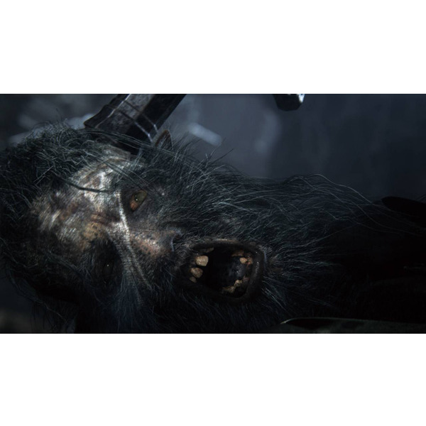 Игра Bloodborne: Порождение крови для PlayStation 4