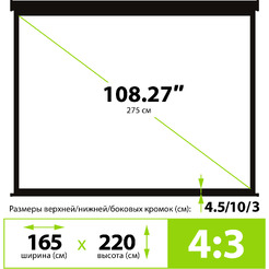 Экран CACTUS TriExpert CS-PSTE-220X165-BK