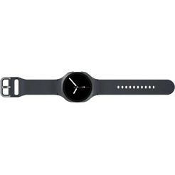 Умные часы Samsung Galaxy Watch 8 40 мм LTE (SM-L325FDAACAU) графит