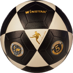 Футбольный мяч Winstar WN11001