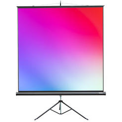 Экран Lumien LMV-100105