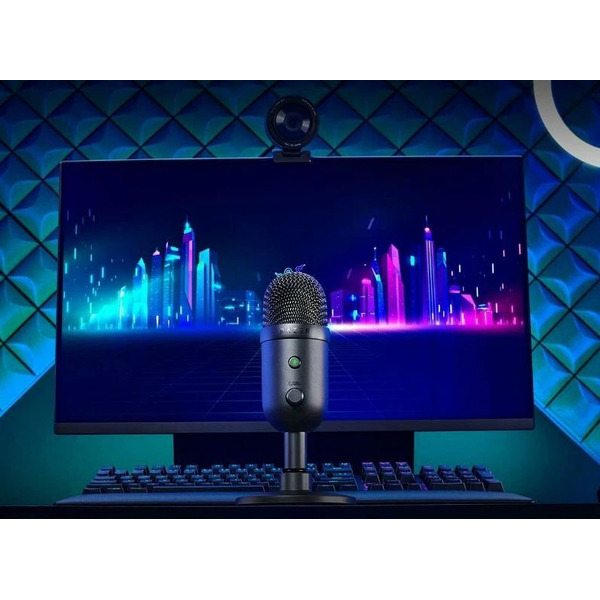 Микрофон Razer Seiren V2 X (RZ19-04050100-R3M1)