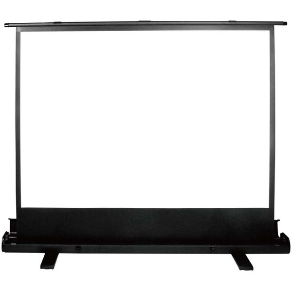 Экран CACTUS FloorExpert CS-PSFLE-160X120