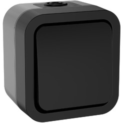 Выключатель IEK Tors TS-V14-0-10-55-K53