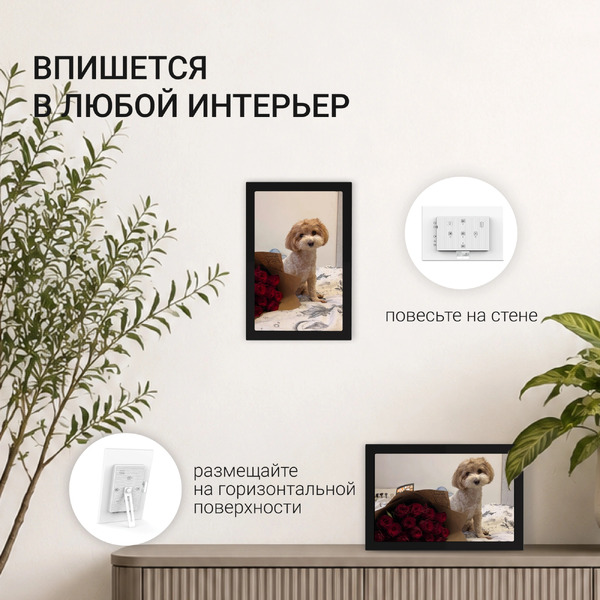 Цифровая фоторамка Digma PF1155B