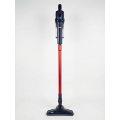 Пылесос RAF R.8739B