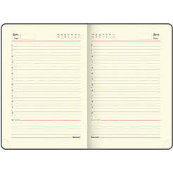 Ручка перьевая PARKER Jotter Core Stainless Steel GT (ежедневник А5 черный, пакет) 880902