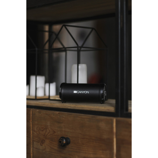 Портативная колонка Canyon CNE-CBTSP5
